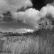 Potteric carr 090308